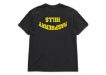 Raspberry Hills Grey Classic Tee